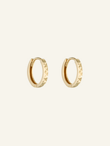 Solid Gold Brushed Hoops